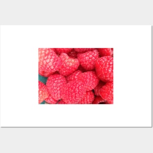 Raspberries Posters and Art